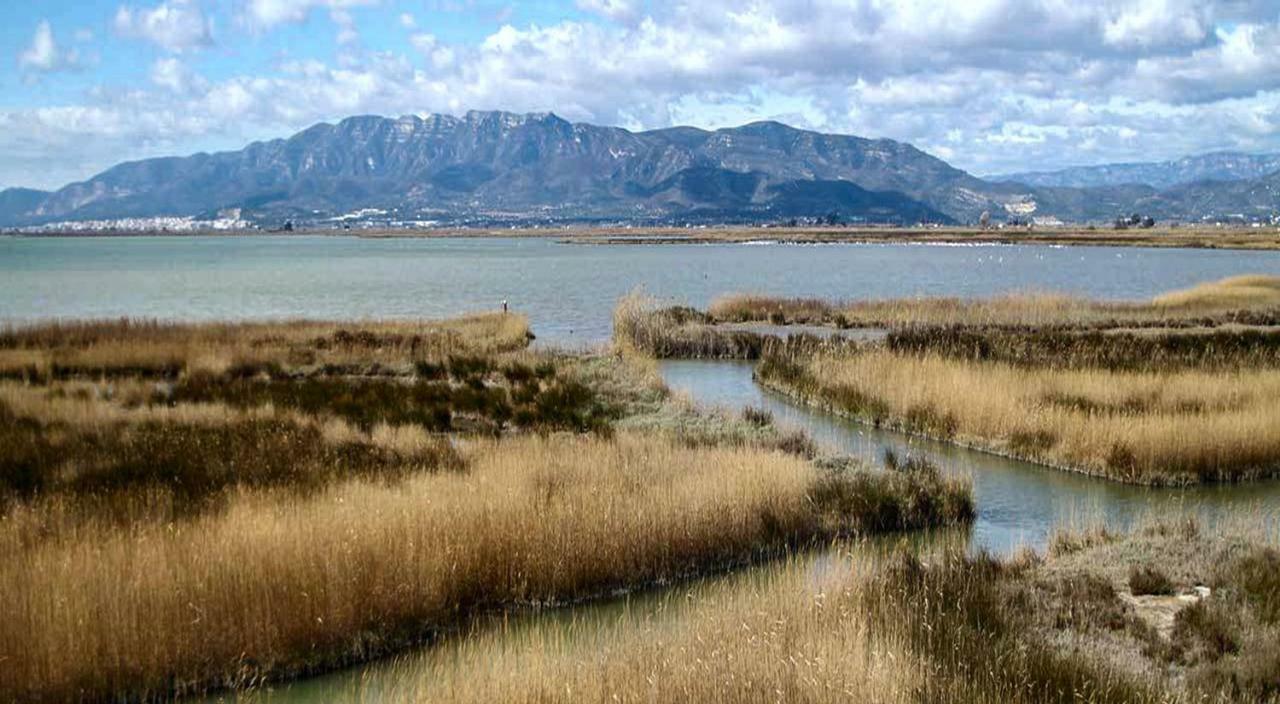 Mi Apartamento En El Delta Del Ebro+ Deltebre Esterno foto