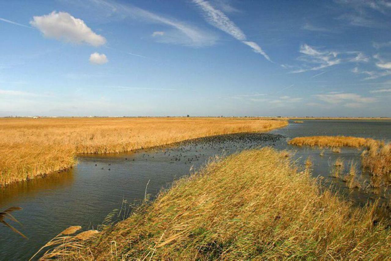 Mi Apartamento En El Delta Del Ebro+ Deltebre Esterno foto