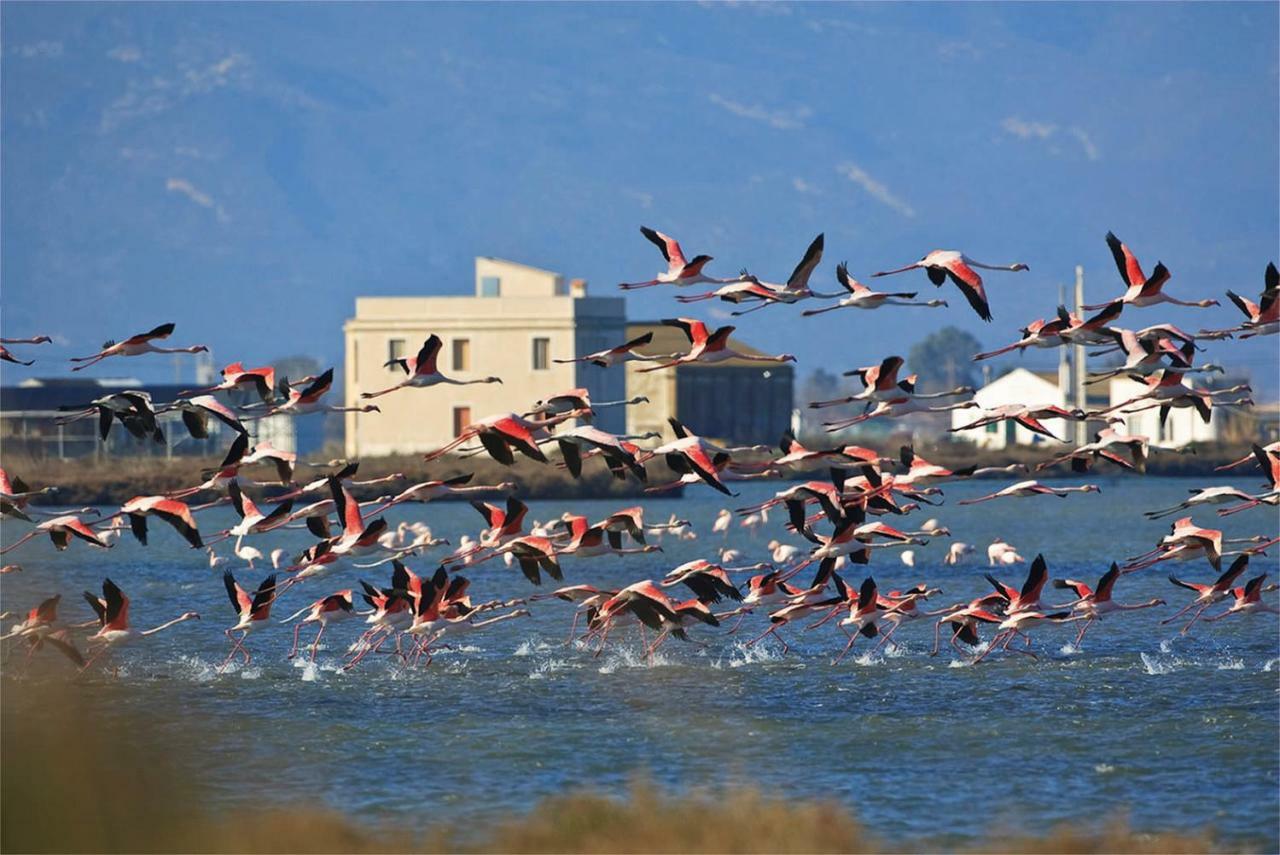 Mi Apartamento En El Delta Del Ebro+ Deltebre Esterno foto