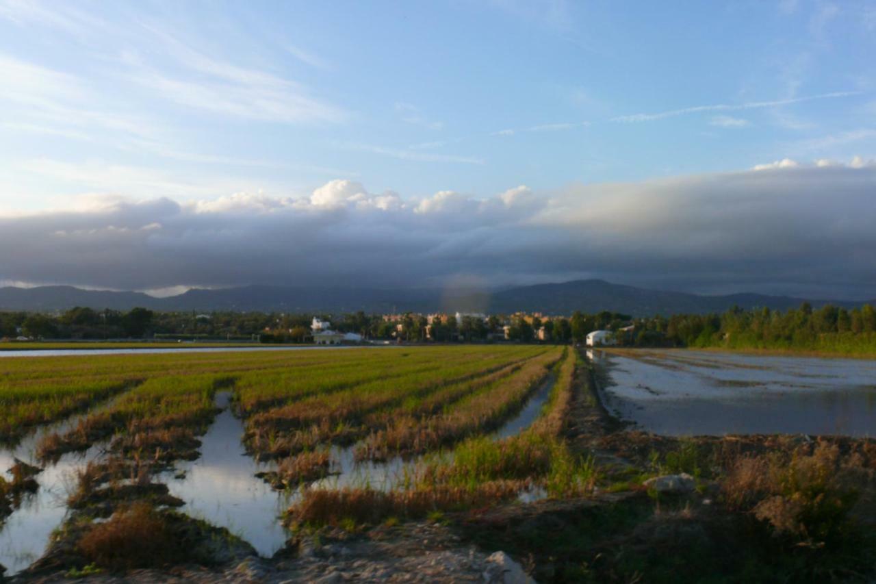Mi Apartamento En El Delta Del Ebro+ Deltebre Esterno foto